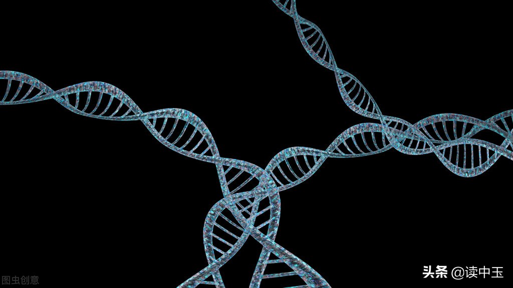 牛群这几年经历了什么,牛群从政怎么样