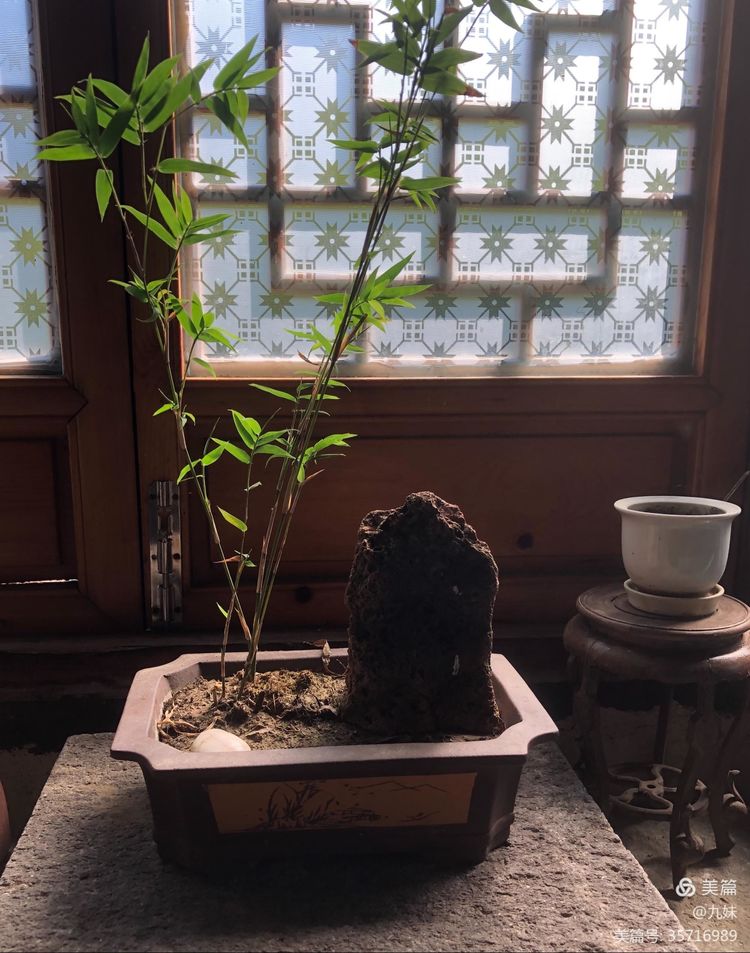 走进风雅石园，位于王店镇聚宝湾景区里