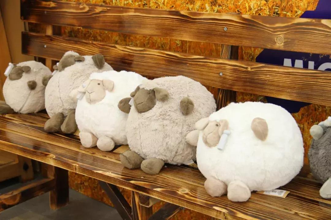 探店|让你羡慕了,我们远梦生活就是传说中“别人家的生活”