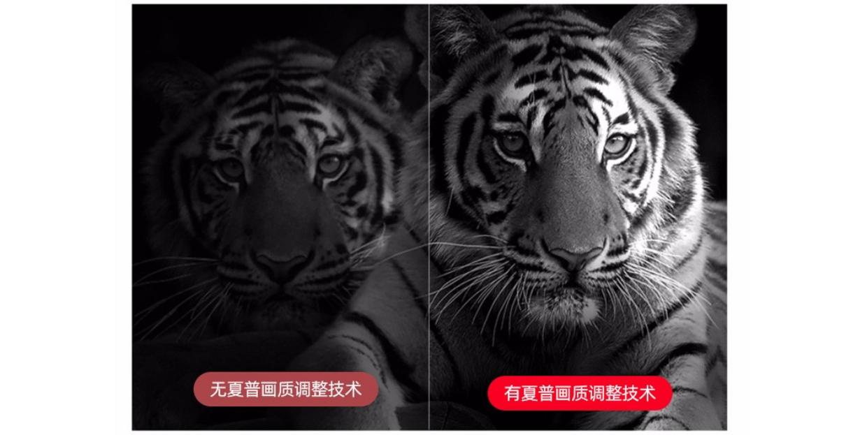 夏普70寸lcd面板价格,夏普70寸进口