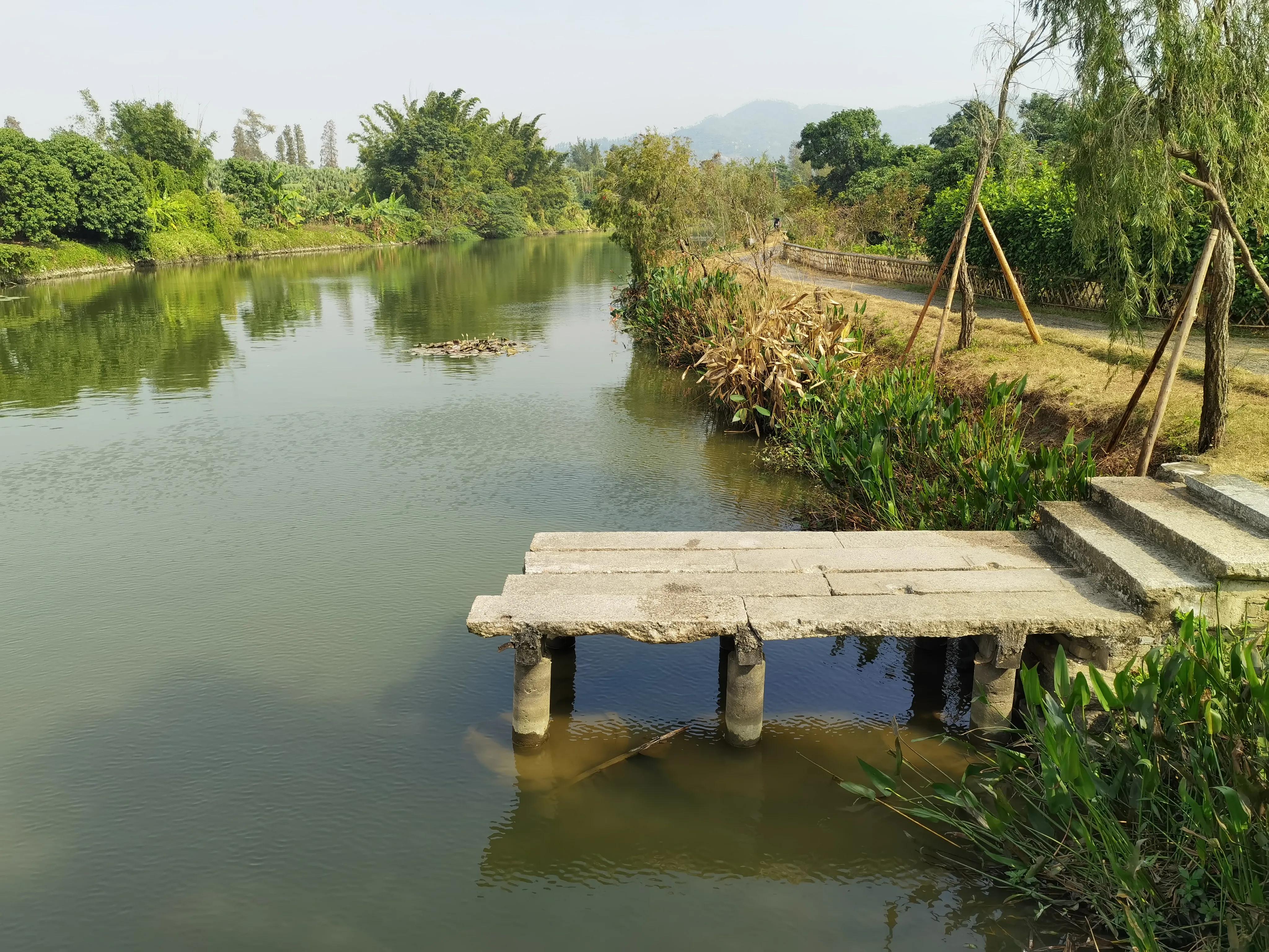 珠海一日游攻略普陀寺,珠海金台寺一日游攻略