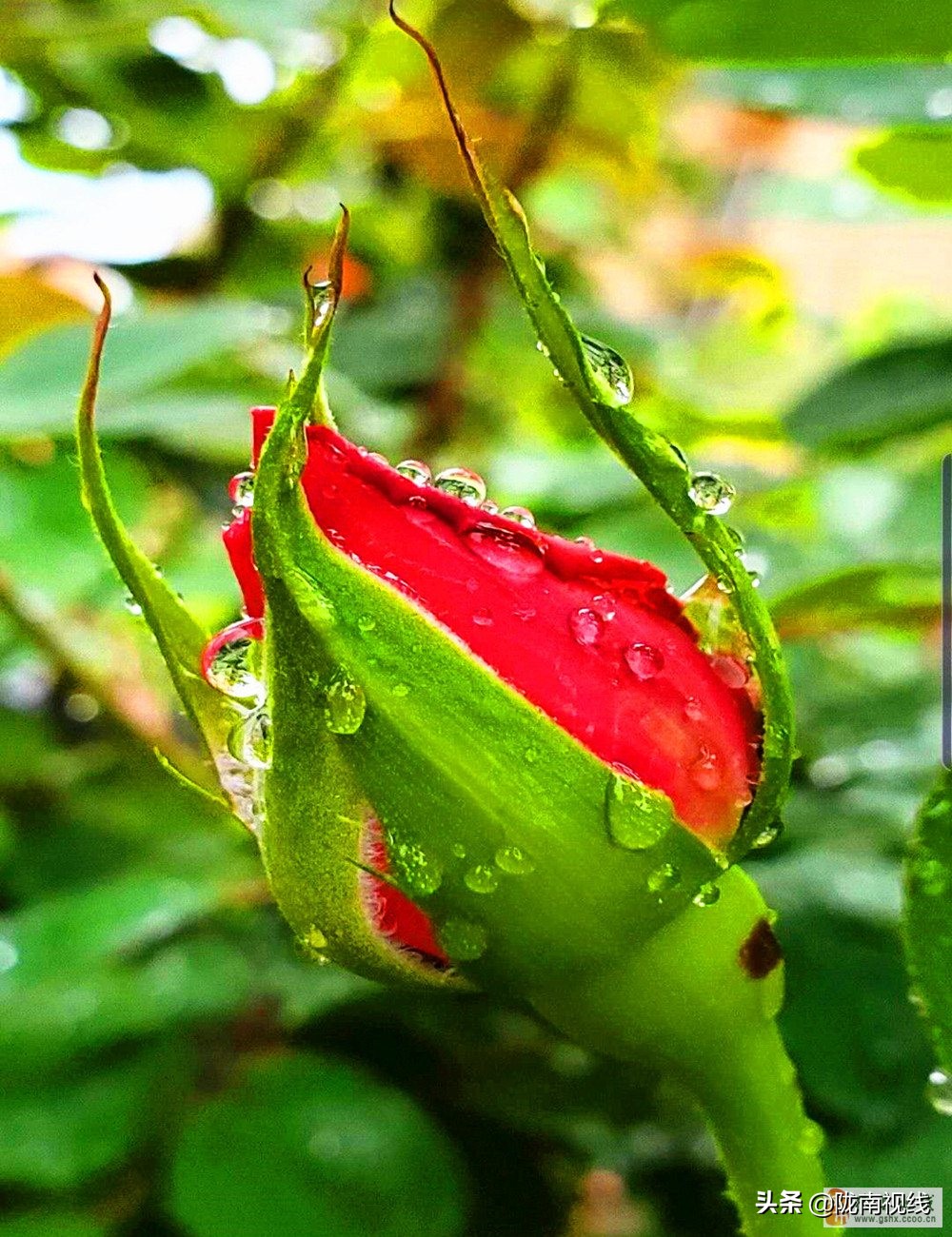 瑞丰投资集团好吗,瑞丰炒股