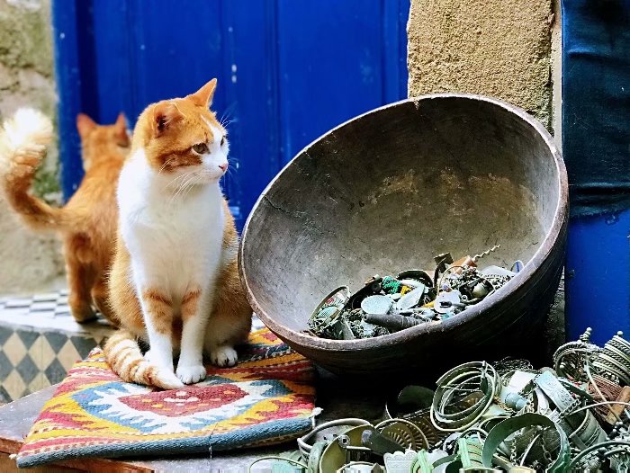 去摩洛哥自由行攻略,摩洛哥游玩自由行攻略