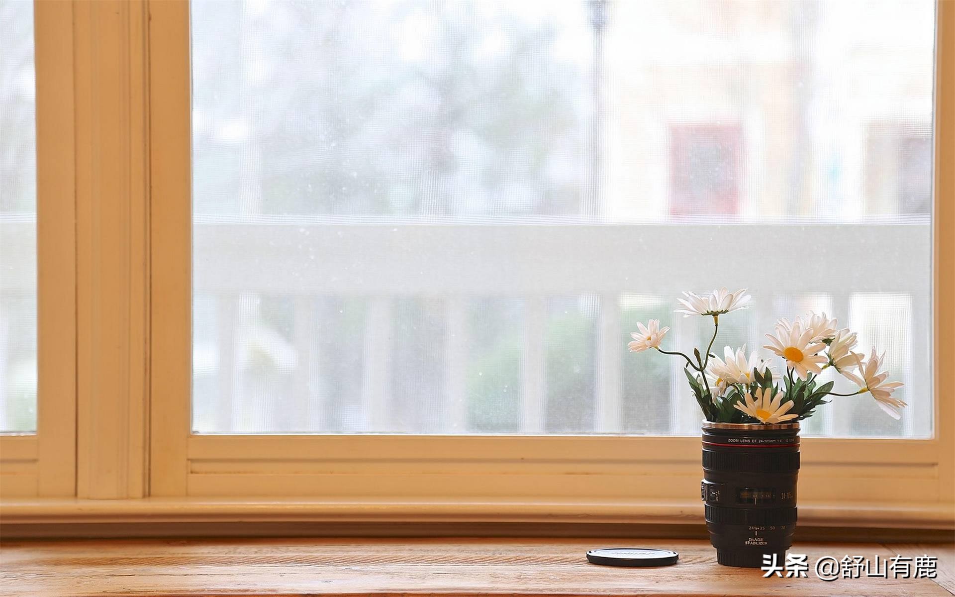 关于赚钱的四个顶级忠告,当你身处困境的时候