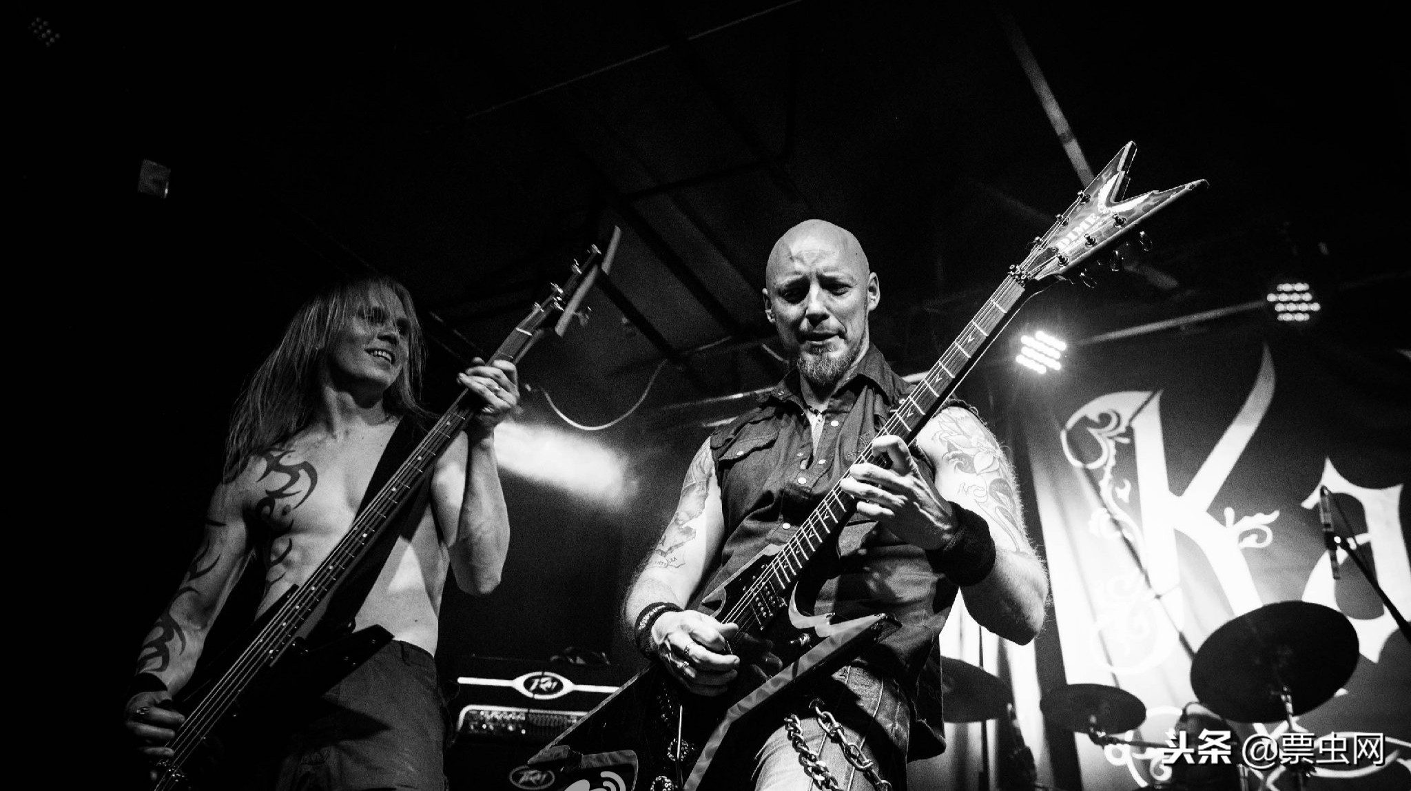 沼泽之王全集,沼泽之王kalmah