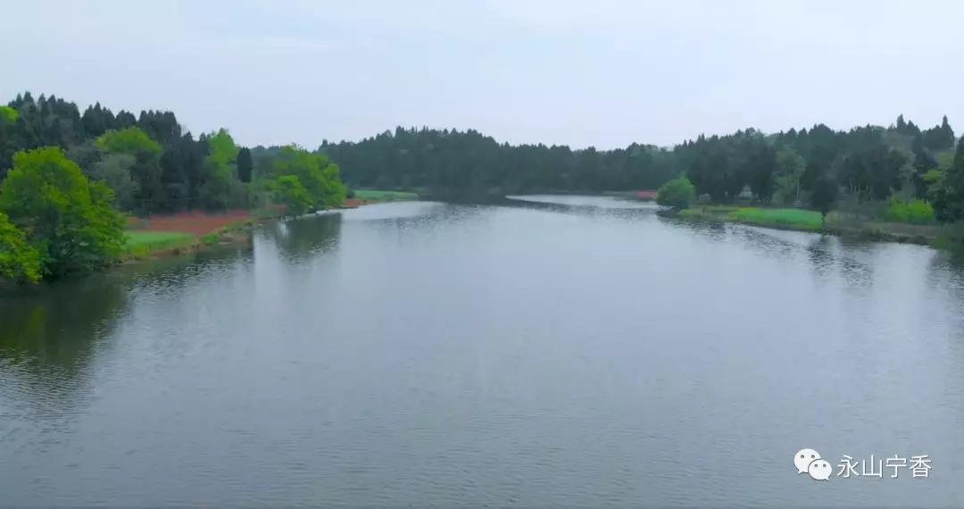 五一期间简阳有什么好玩的,简阳周边春游的好地方推荐