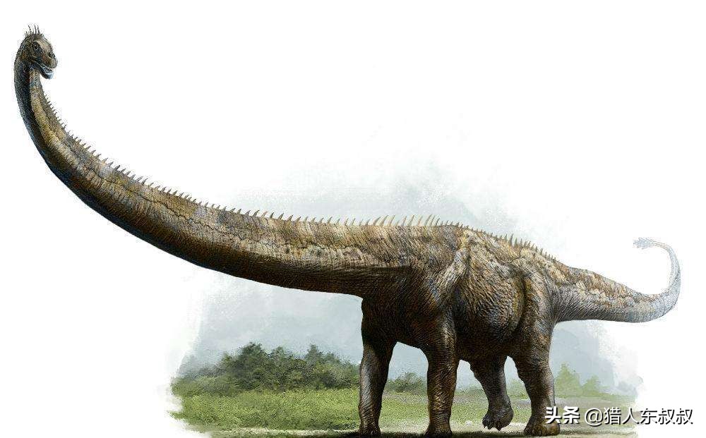 世界上十大恐龙排名英文解说,最厉害的恐龙十大排名