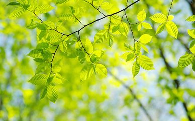 一场青春的流年,醉一场流年的青春