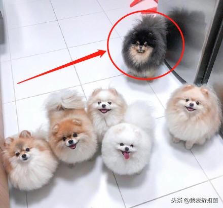 拍照技巧与角度的免费app,最近朋友圈最火的拍照软件