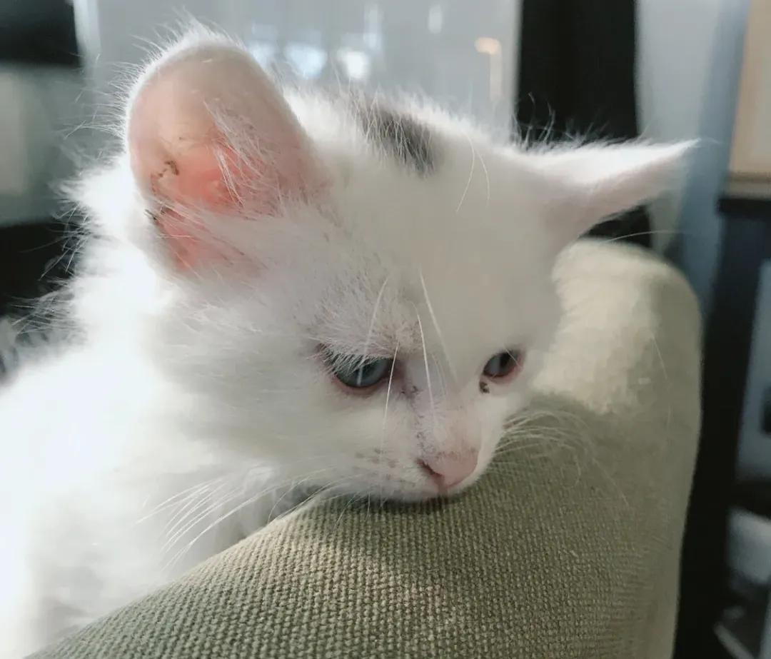 用阅读触摸成都|在成都不能错过的10家书店(下)