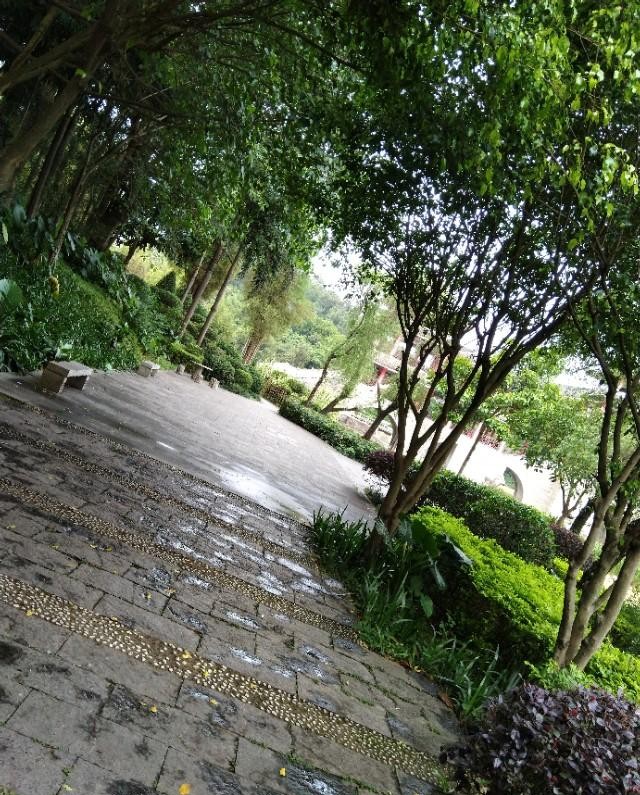 南宁狮山公园以前是尸山吗,广西南宁狮山公园现状