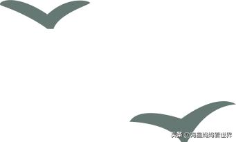 昆虫diy益智拼图,diy昆虫旅馆怎么做