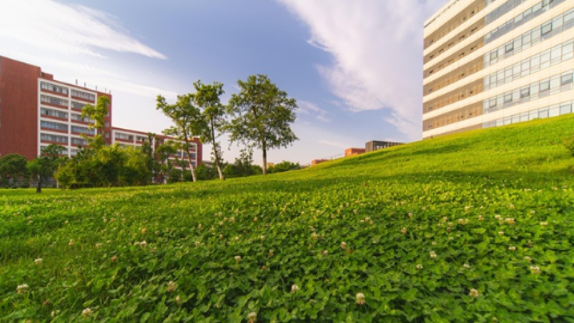 上海浦东明珠学校,上海浦东新区明珠小学排名