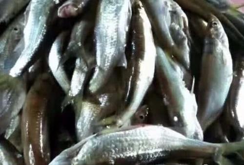 邵阳的十大首富,邵阳的十大女明星