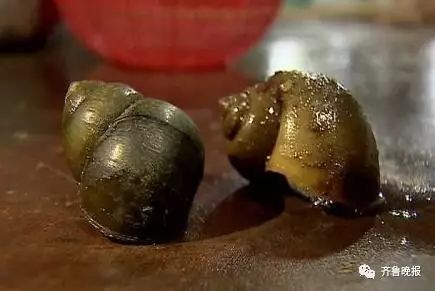 很多东西有寄生虫,这4种常见蔬果竟藏大量寄生虫