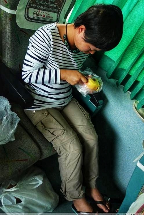 印尼豪华列车,印尼豪华铁路客车