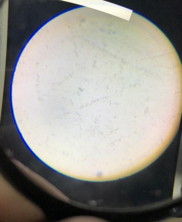 美的ft1净饮机清洗后不净水,美的净饮净水器