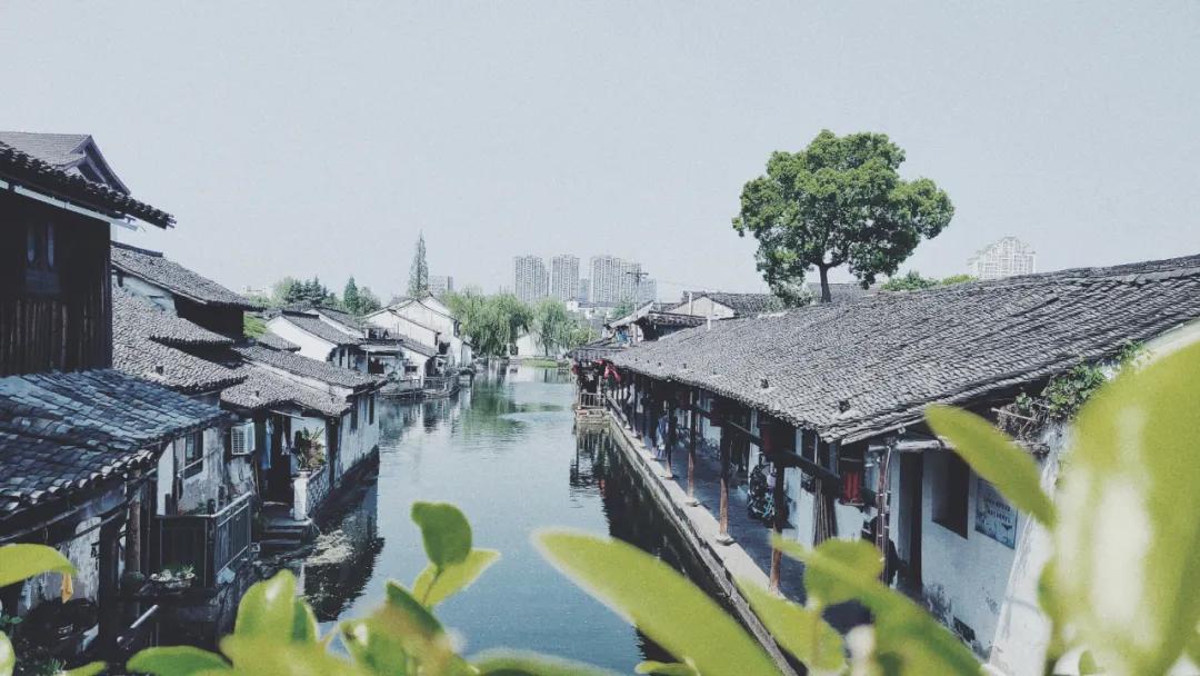 绍兴不一样的江南水乡,绍兴的江南水乡