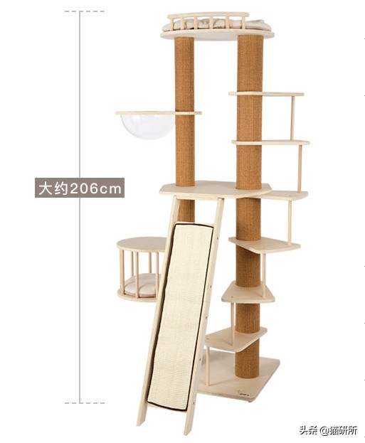 猫咪平替好物推荐,提高猫咪生活质量的几款好物