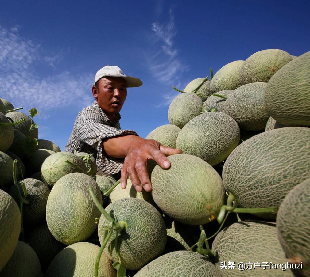 哈密市房价走势最新消息,哈密房价各区一览表