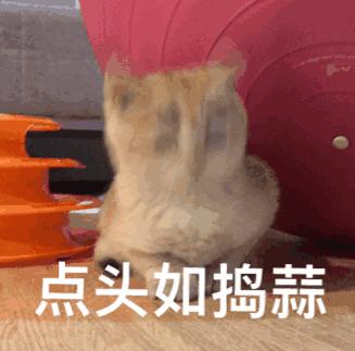 终于开学了家长们欢天喜地,终于要开学了学生的反应