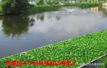 养羊夏季怎样减少骚臭味,养羊低温处理法