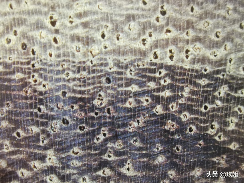 红木阔叶黄檀品种,红木种类红木家具