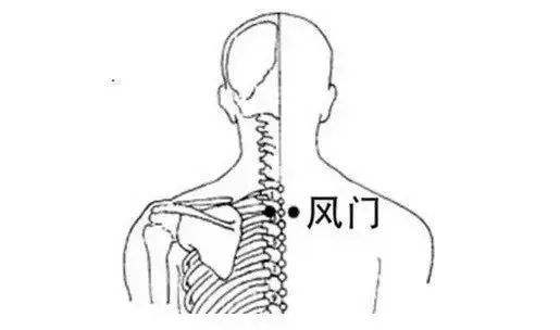 艾灸对三叉神经有作用吗,你们知道三叉苦是治什么病的么