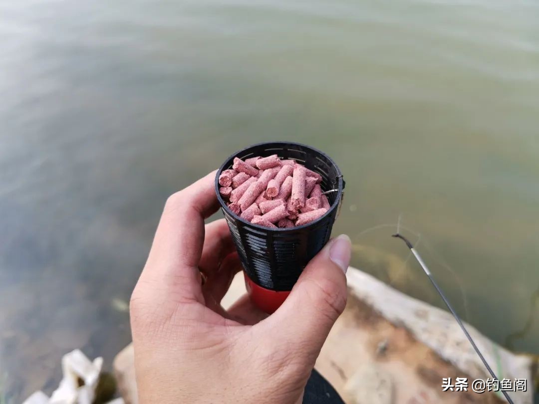 钓鱼中草药配方秘方,钓鱼最佳配方与技巧