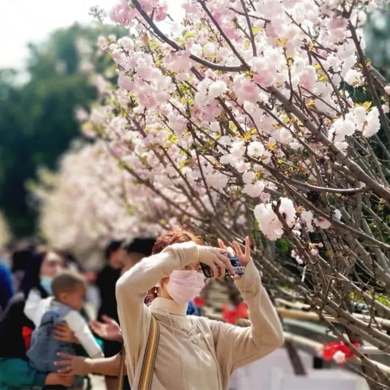 女神节优惠门票深圳,女神节深圳游玩攻略