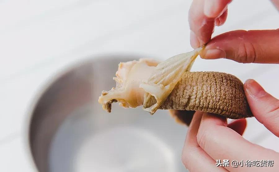 象拔蚌刺身教学,象拔蚌刺身摆盘