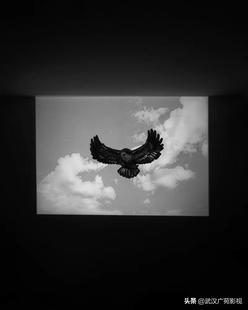 黑白摄影的魅力教案,黑白摄影的特殊魅力美术鉴赏