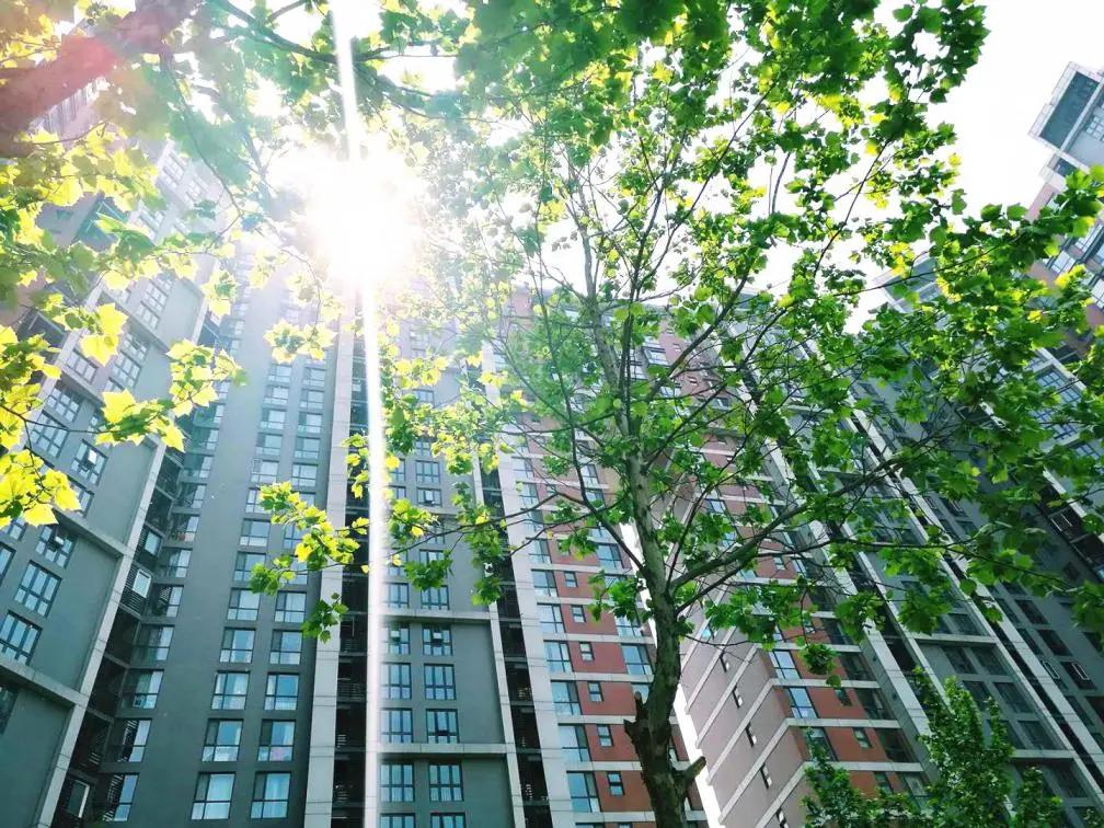 望京！曾经你爱答不理，现在你高攀不起？