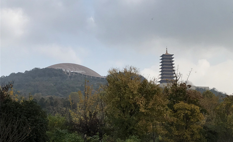 采菊东篱下悠然见南山拙政园,采菊东篱下悠然见南山芒种