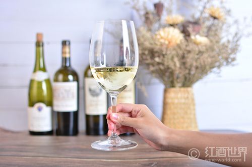 葡萄酒染上白衣服怎么办,葡萄酒会染舌头吗