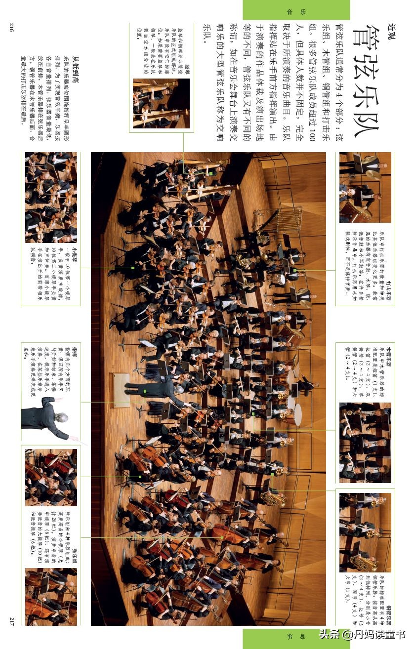 dk艺术百科8册,dk艺术启蒙百科