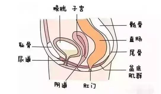 漏尿是怎样的难言之隐,产后漏尿女人难言之隐