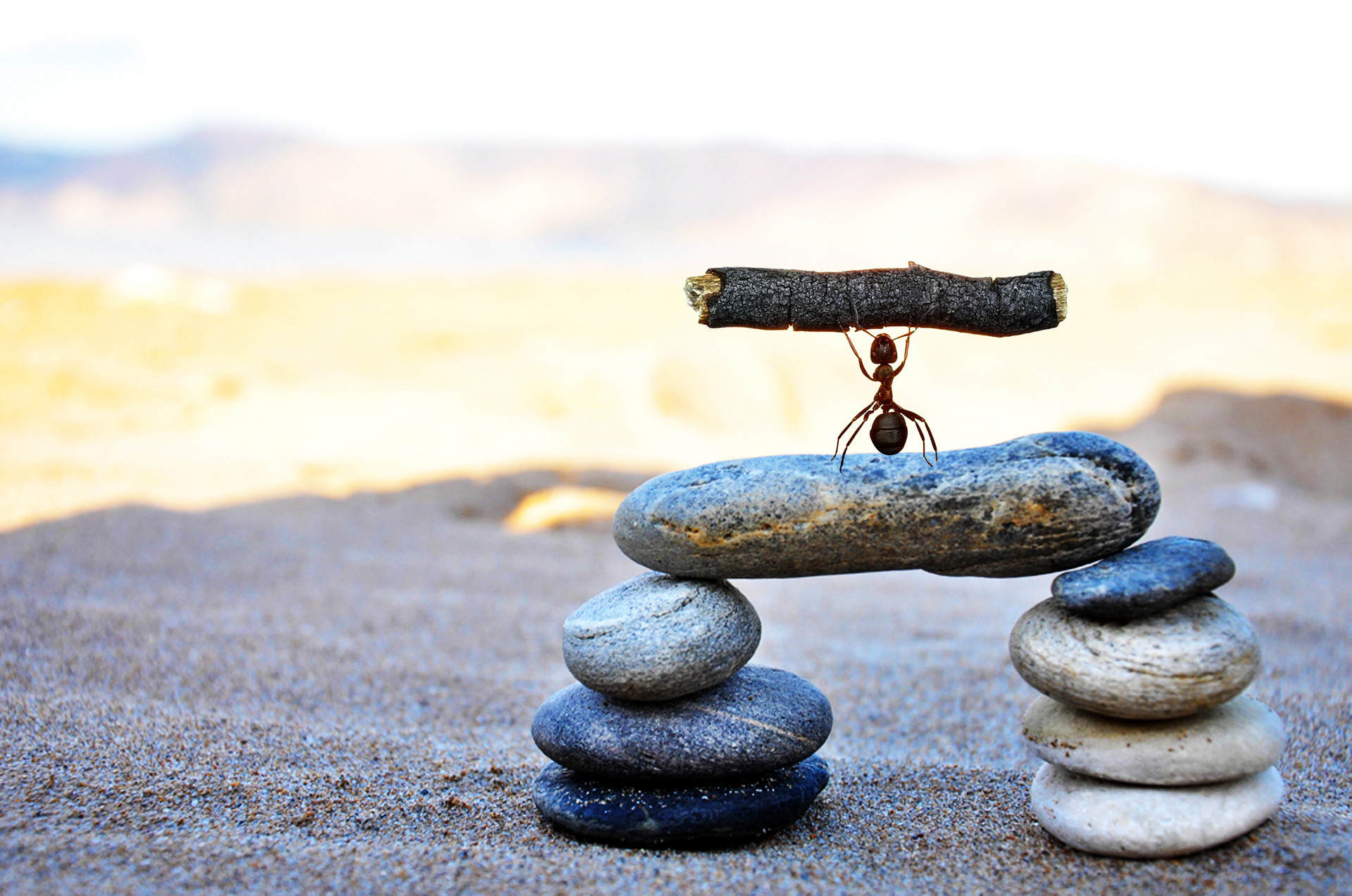 职场里被孤立最好的解决办法,职场被孤立的正确方法