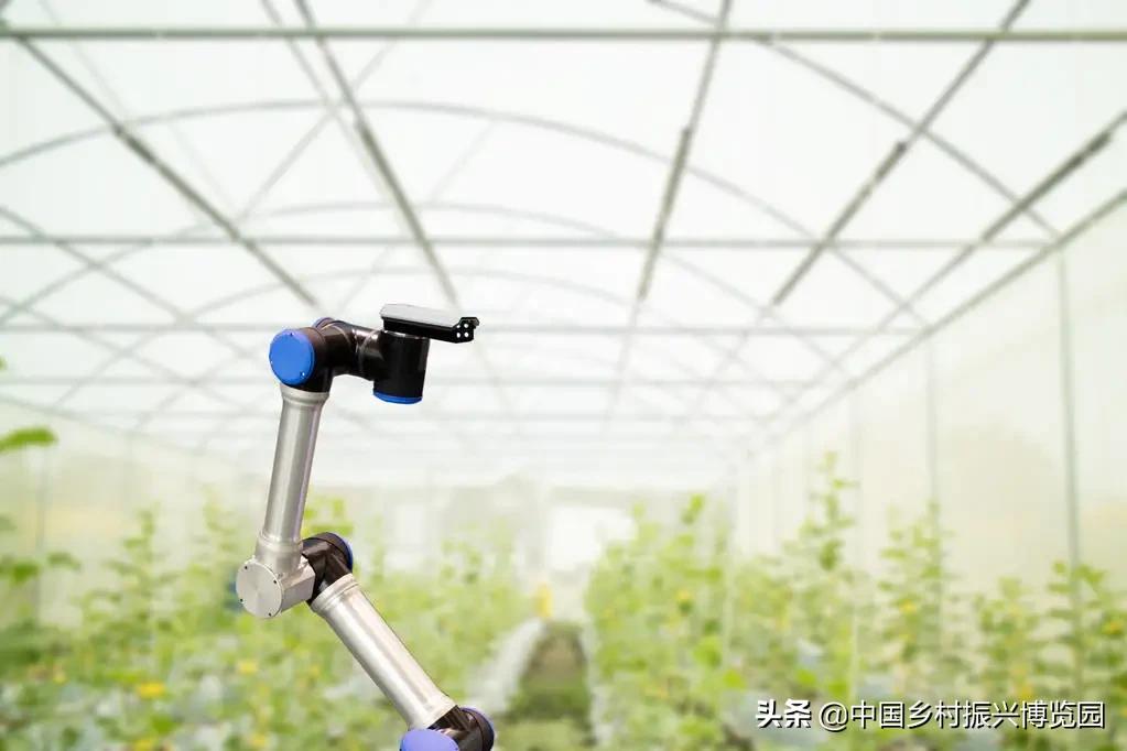 乡村振兴10个攻略,乡村振兴领域涉及哪些部门