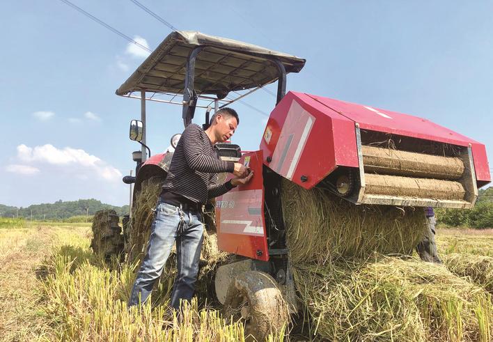 个人回收秸秆赚钱么,秸秆打包赚钱吗