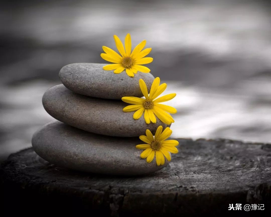 为啥人去世后，要有那么多繁琐的讲究？｜豫记