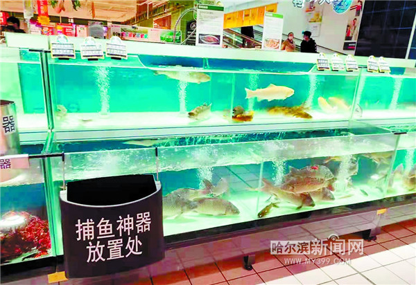 2022年淡水鱼价格行情,淡水鱼批发价格行情