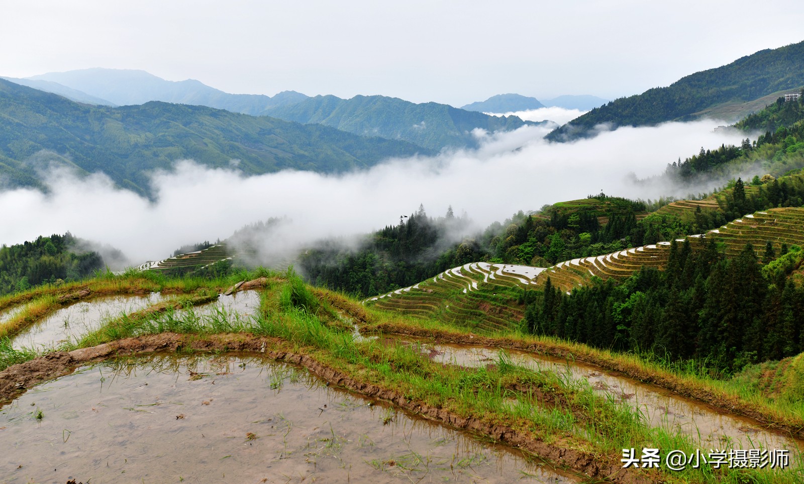 尼康半画幅广角镜头18-35样张,尼康18-35银广角新旧对比