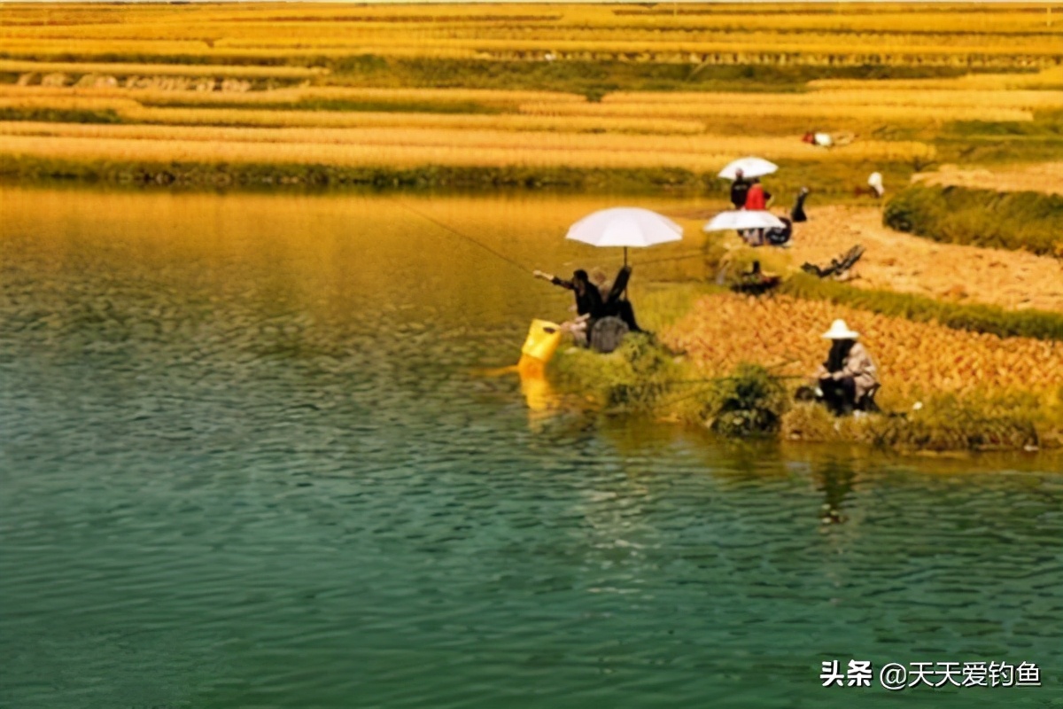 钓鱼技巧：钓鱼遇上刮风天，经验告诉你，这些风向鱼情更好