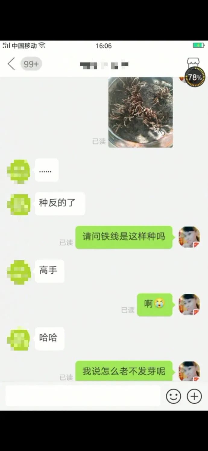 小时候的感觉我感同身受,小时候的我感同身受完整版