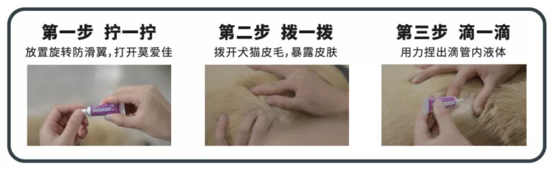 驱虫药猫咪内外同驱品牌,猫狗通用驱虫药正品进口