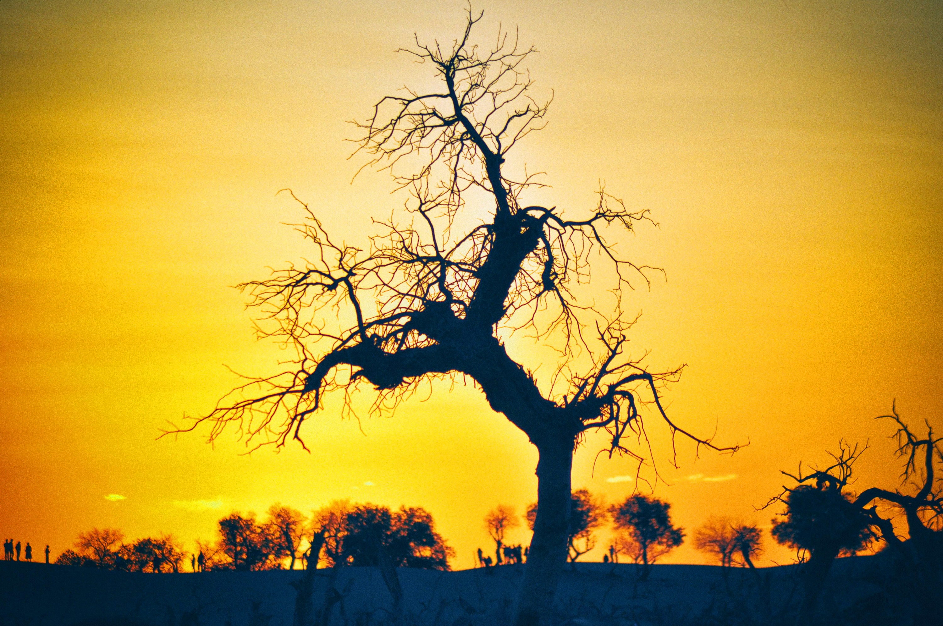 西北大环线自驾游全过程,西北大环线自驾游全攻略