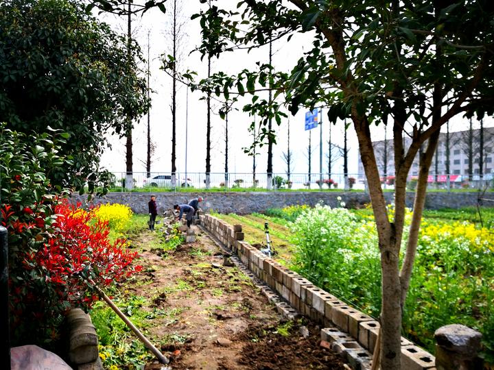 云南巍山十美村,东阳巍山有哪几个村在创建十美村