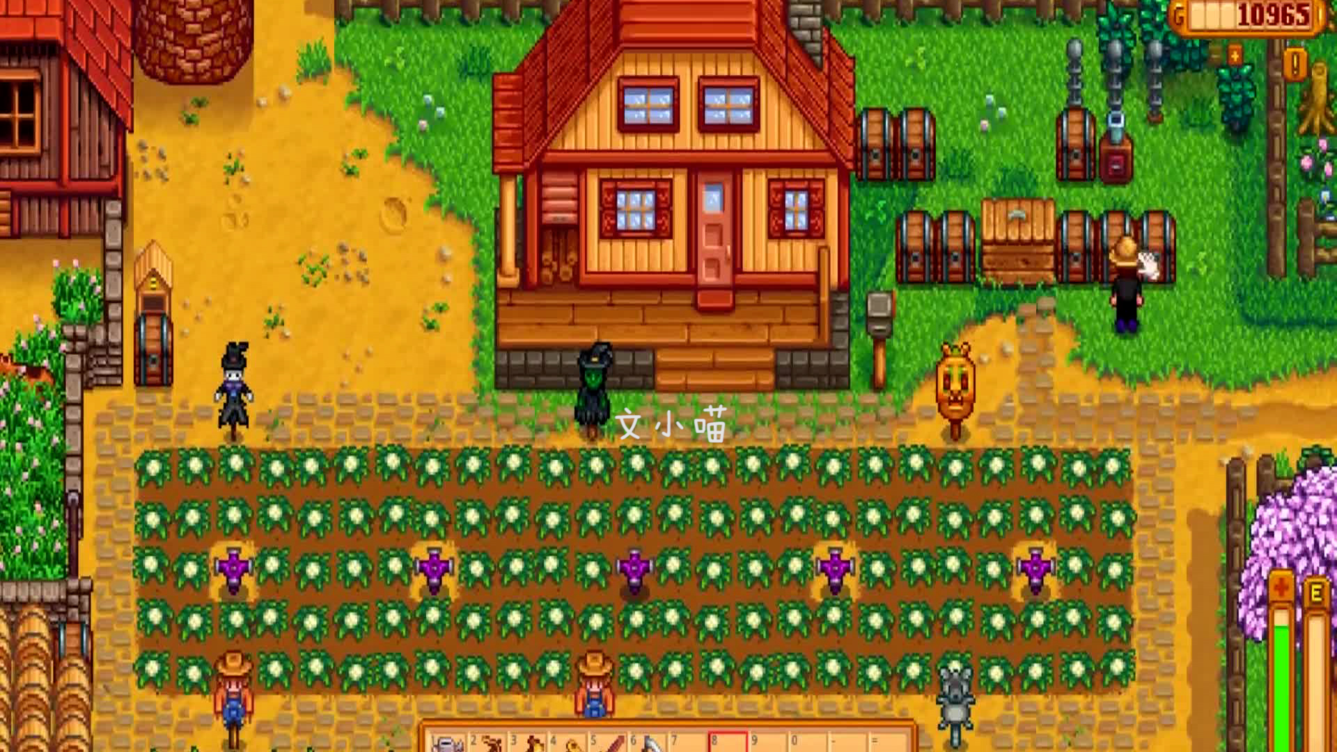 星露谷物语开发者结婚了吗,星露谷物语开发者制作了几款游戏