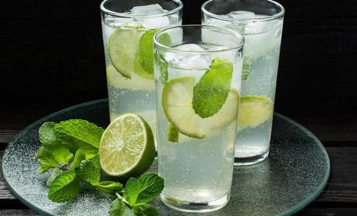 每天一味中药材薄荷,每日一药之薄荷